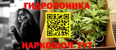 молекула духа Апрелевка