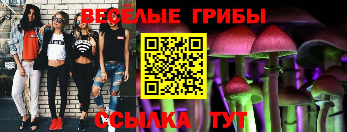 Псилоцибиновые грибы Cubensis  Вход с VPN  Выкса  Галлюциногенные грибы MAGIC MUSHROOMS 