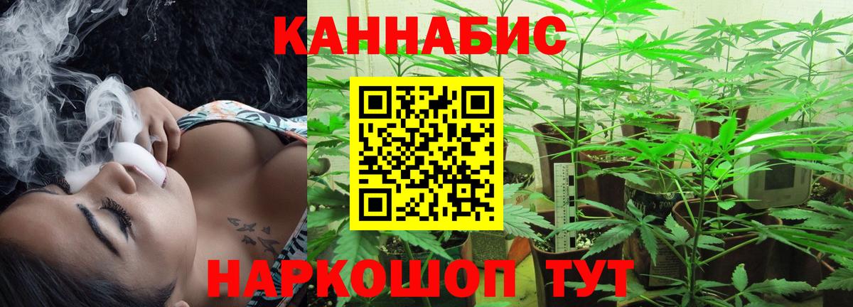 Выкса  Каннабис планчик  Вход с VPN  Конопля White Widow  Шишки марихуана семена 